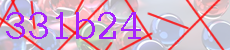 331b24
